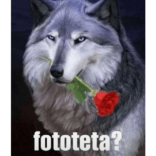 Apenas meu 16