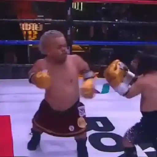 สติกเกอร์