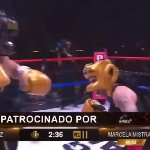 สติกเกอร์