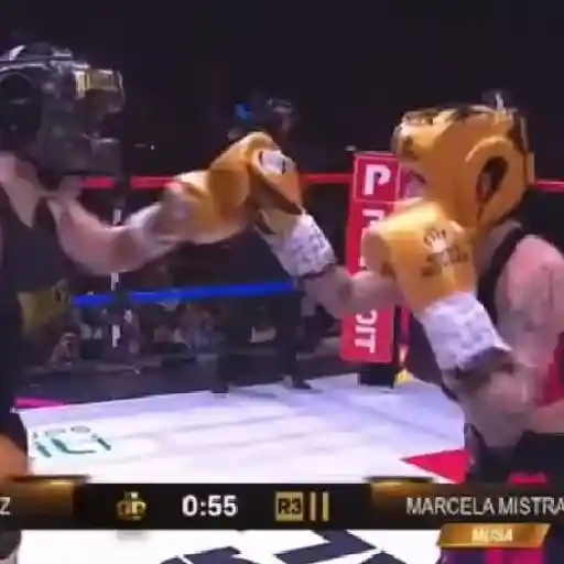 สติกเกอร์