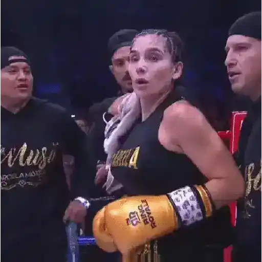 สติกเกอร์