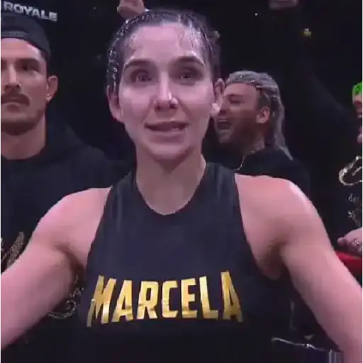 สติกเกอร์