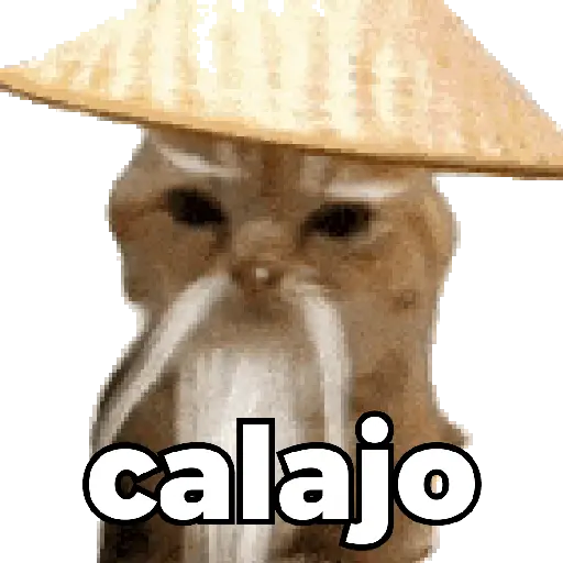 Gatos XD 😎 1