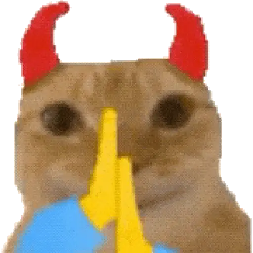 Gatos XD 😎 2