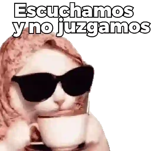 Gatos XD 😎 5