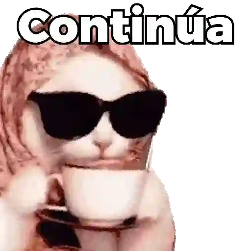 Gatos XD 😎 13