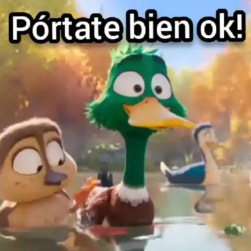 ✨Gwen Patos🦆Duck💫 14