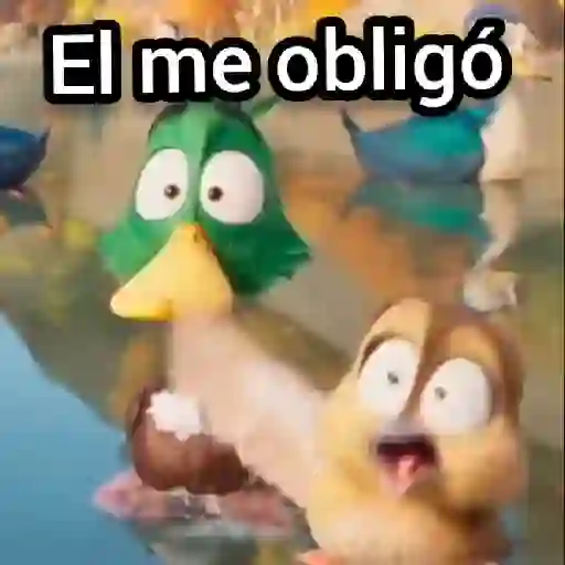 ✨Gwen Patos🦆Duck💫 2