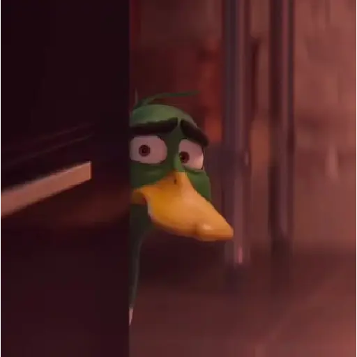 ✨Gwen Patos🦆Duck💫 25