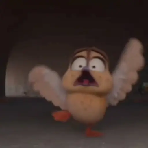 ✨Gwen Patos🦆Duck💫 26