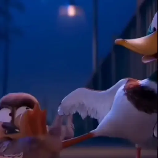 ✨Gwen Patos🦆Duck💫 4