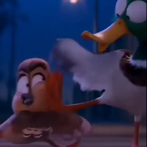 ✨Gwen Patos🦆Duck💫 20