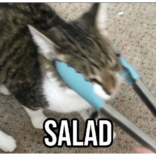 Salad 1