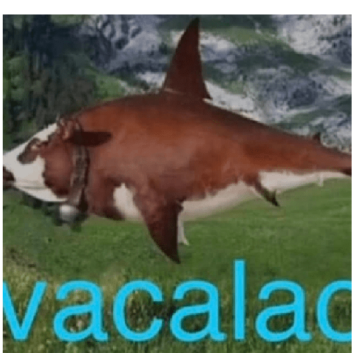 Salad 8