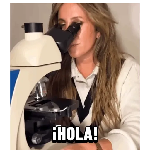 Animados 24