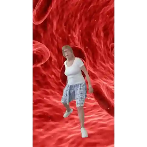 Animados 25