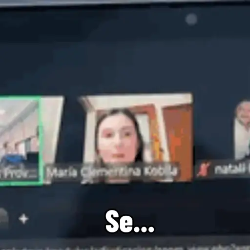 Animados 27