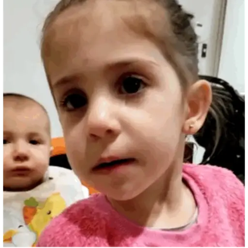 Animados 4