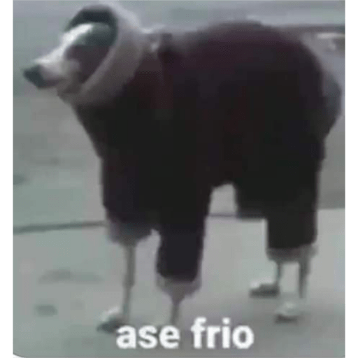 La concha de tu madre fefo 5