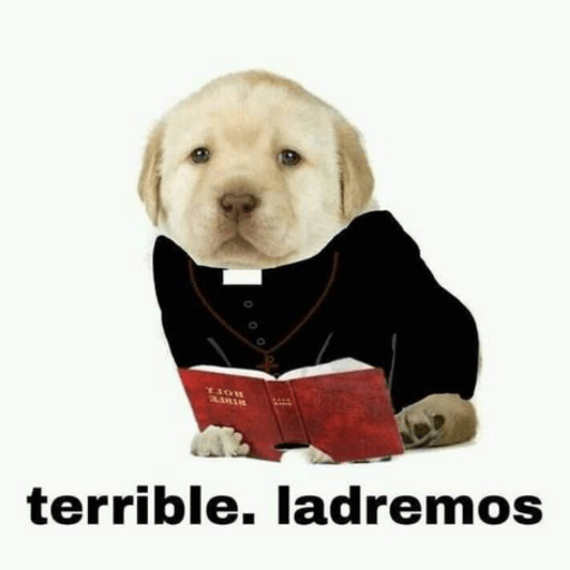 La concha de tu madre fefo 2