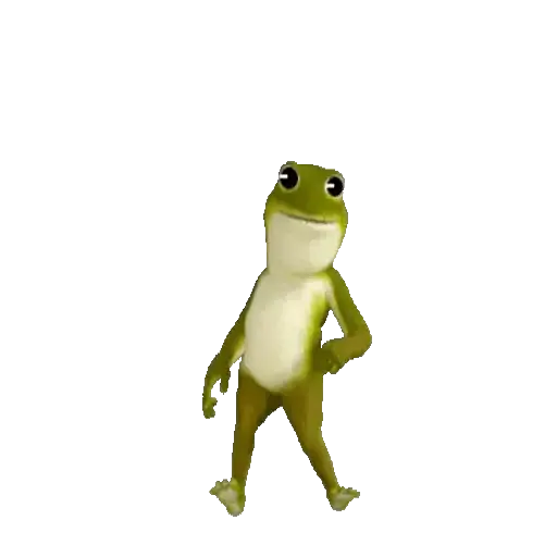 Ranita inquieta 🐸💥