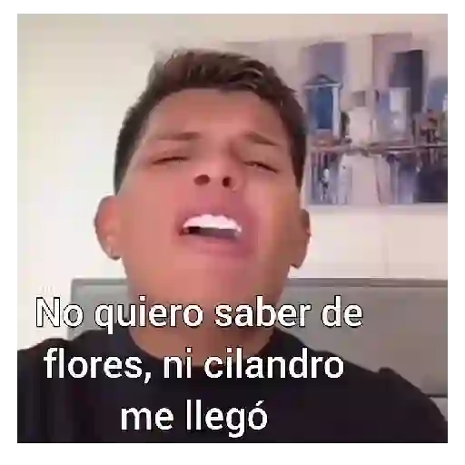 Flores amarillas memes 💐💠