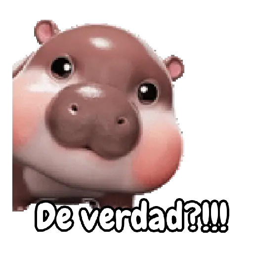 Hipo 🦛💌