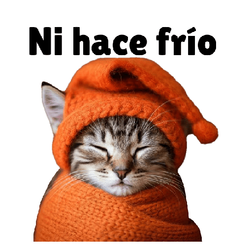 Michis con frío 😺❄️