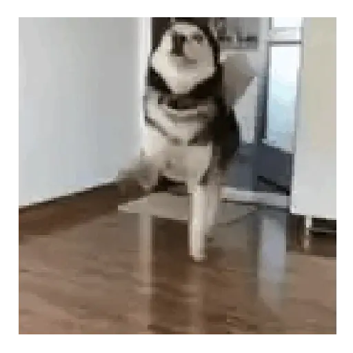Meme reaction tiktok 🤪🥴 14
