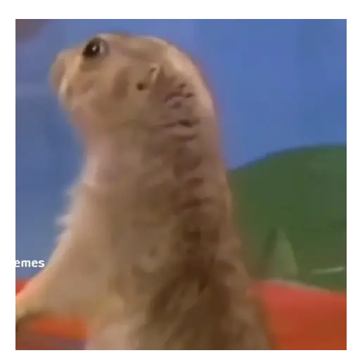 Meme reaction tiktok 🤪🥴 9