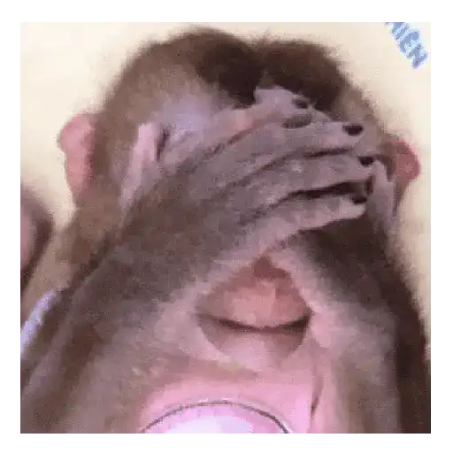 Meme reaction tiktok 🤪🥴 5