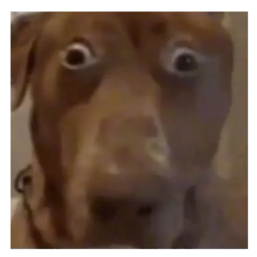 Meme reaction tiktok 🤪🥴 4