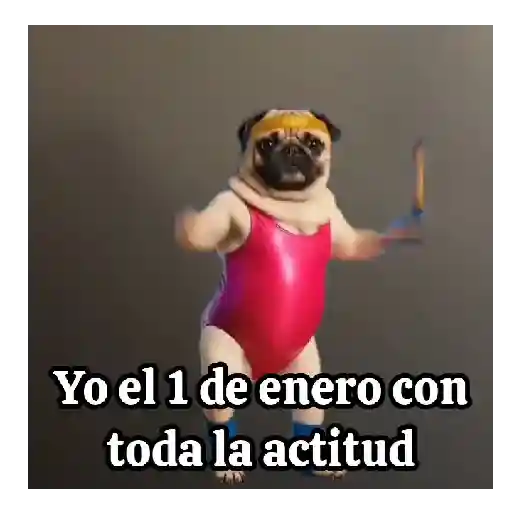 Memes enero 2026 1️⃣🗓️
