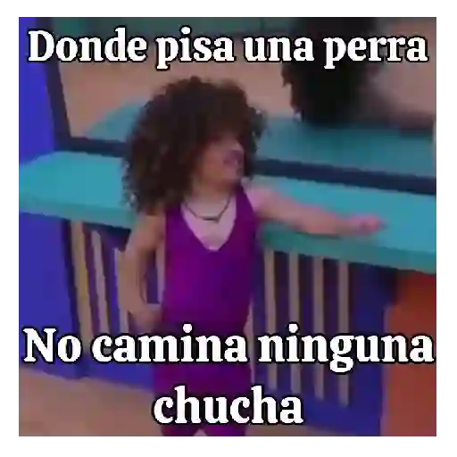 Abelito LCDLF 🍀🏠 2