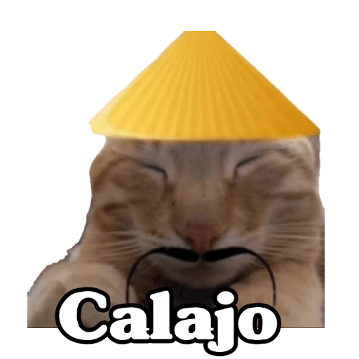 Calajo 😑‼️
