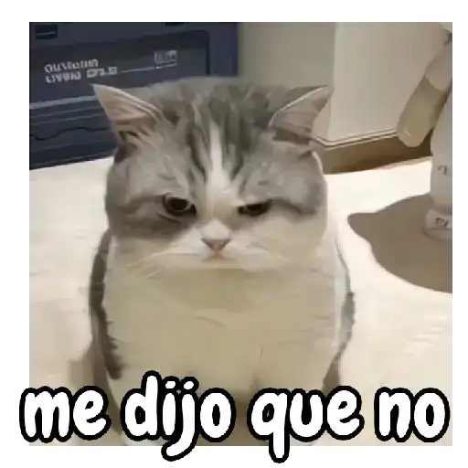 Tristeza de michis 🥀🐱