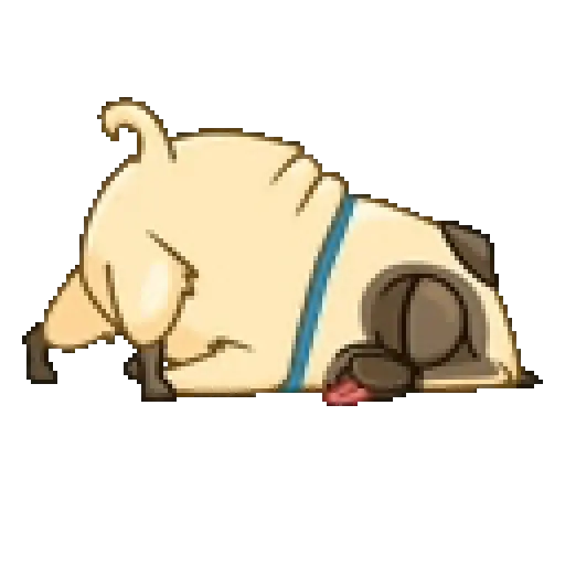 Dog cute pug 🐶❤️ 14