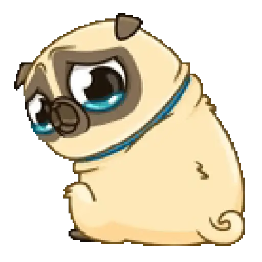 Dog cute pug 🐶❤️ 13