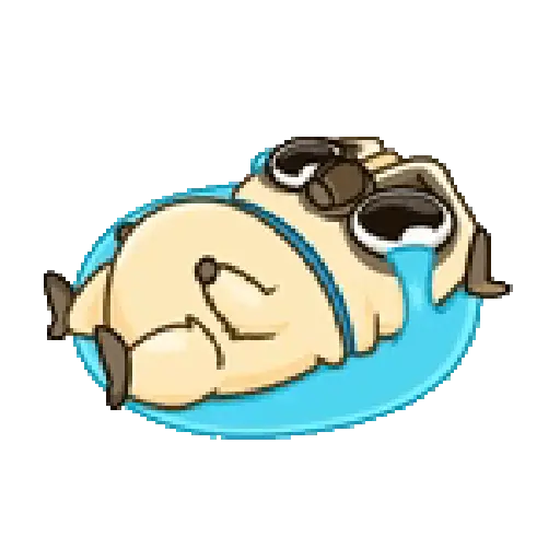 Dog cute pug 🐶❤️ 11