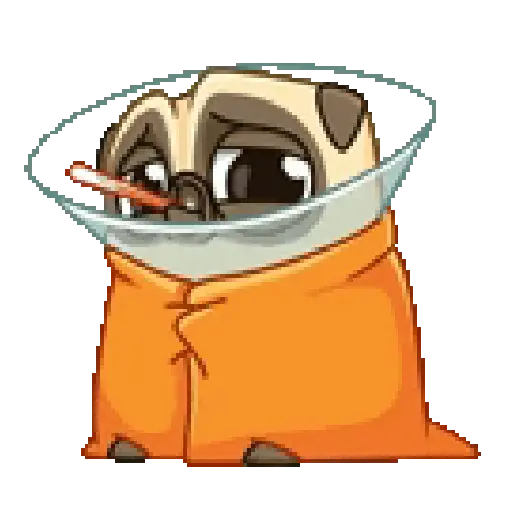 Dog cute pug 🐶❤️ 10