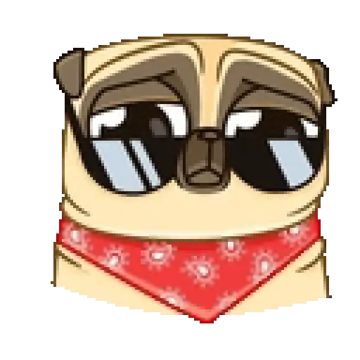 Dog cute pug 🐶❤️ 8