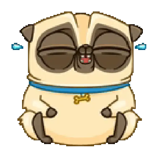 Dog cute pug 🐶❤️ 6