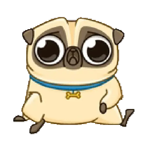 Dog cute pug 🐶❤️ 5