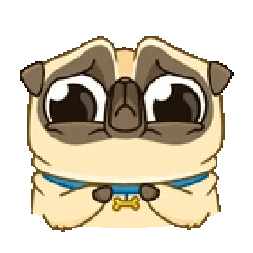 Dog cute pug 🐶❤️ 3