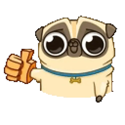 Dog cute pug 🐶❤️ 2