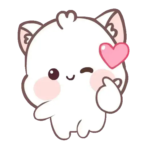 Amor de gatito 😽💘