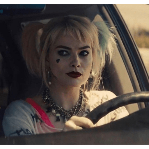 Harley Quinn 13