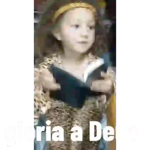 Minhas figurinhas 1