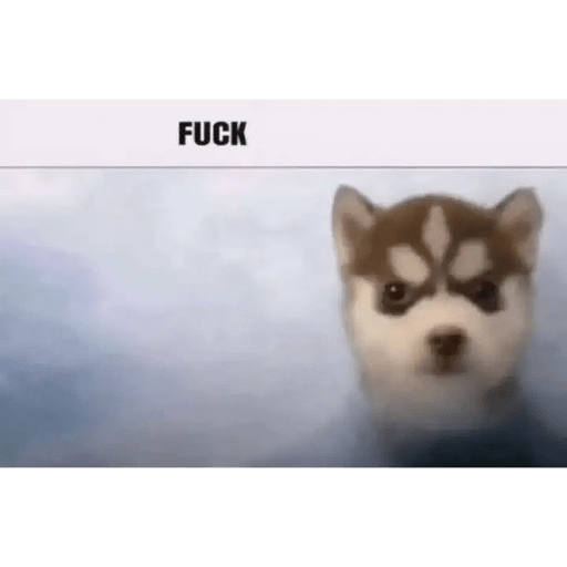 Memes random 4 16