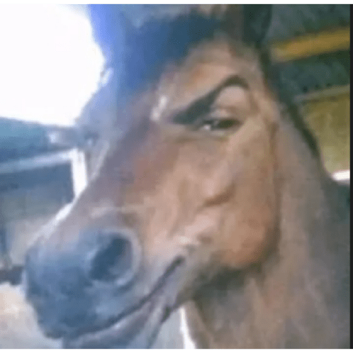 Memes random 4 9